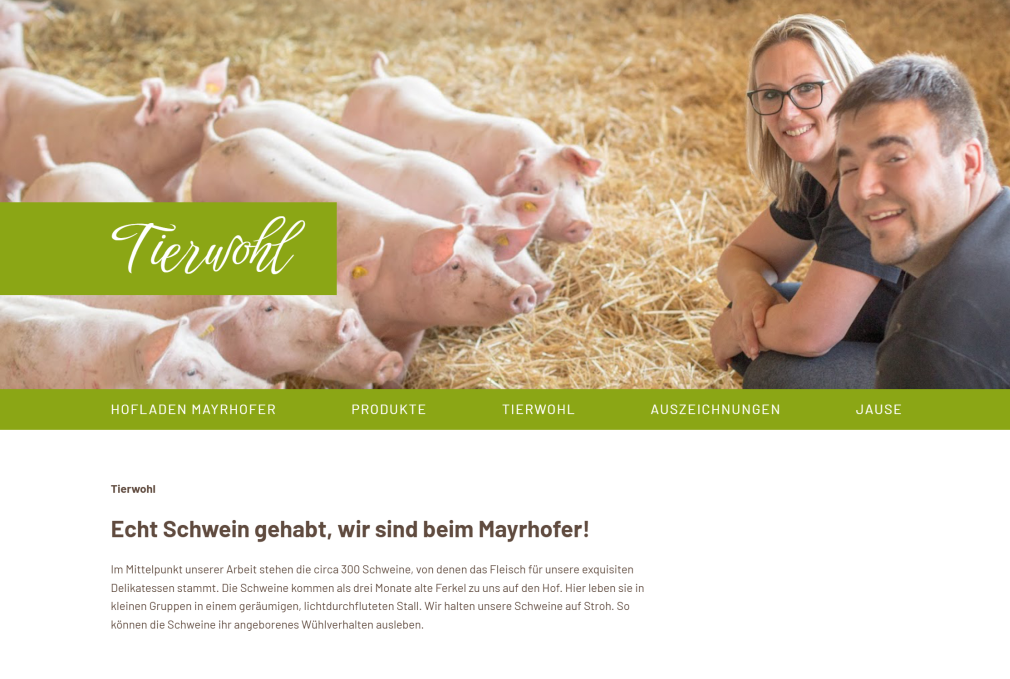 Einblick in den Webshop wunderhuebsch.at - Produkt Makramee Mobile